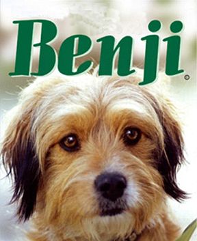 Benji Breed